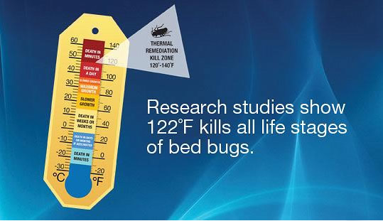 Research Studies Show 122 Degrees F Kills All Life Stages of Bed Bugs