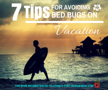 7 Tips for Avoiding Bed Bugs on Vacation